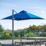 All Parasols